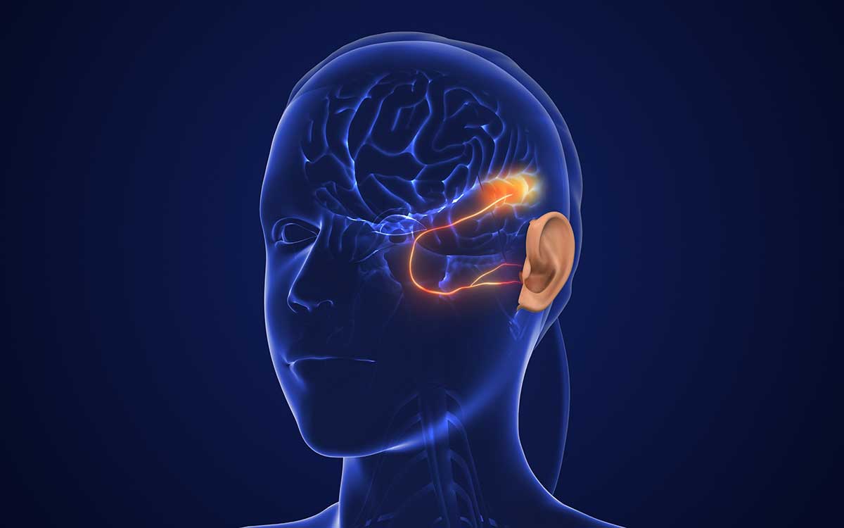 Digital illustration of a transparent human head showing highlighted cranial nerves and brain structures, with emphasis on nerves connecting the brain to the ear and eye areas on a dark blue background.